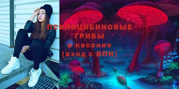 МДПВ Армянск